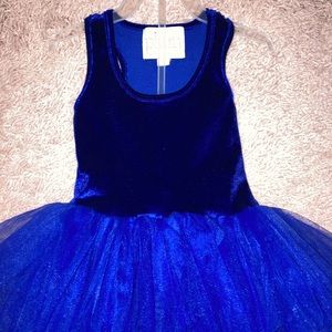 Toddler Girl TUTU Dress